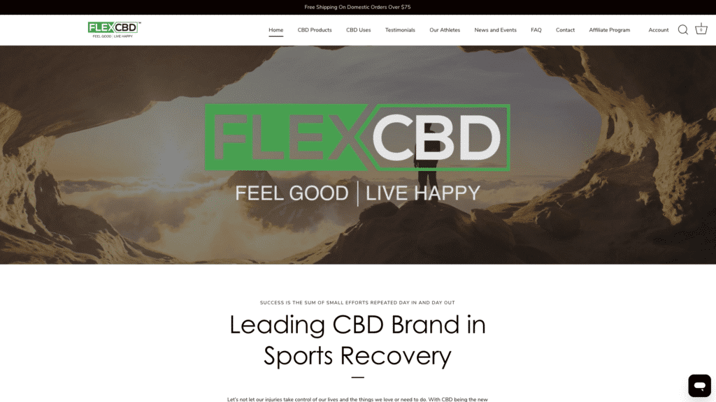 Website Design Website Design